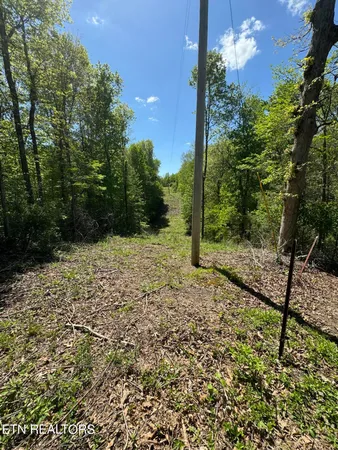 $199,000 | Honey Creek Loop Road, Allardt, TN 38504