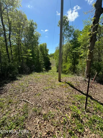 $199,000 | Honey Creek Loop Road, Allardt, TN 38504