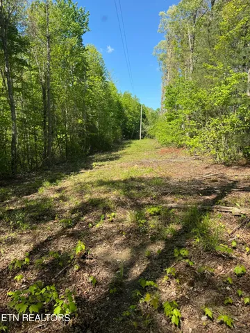 $199,000 | Honey Creek Loop Road, Allardt, TN 38504