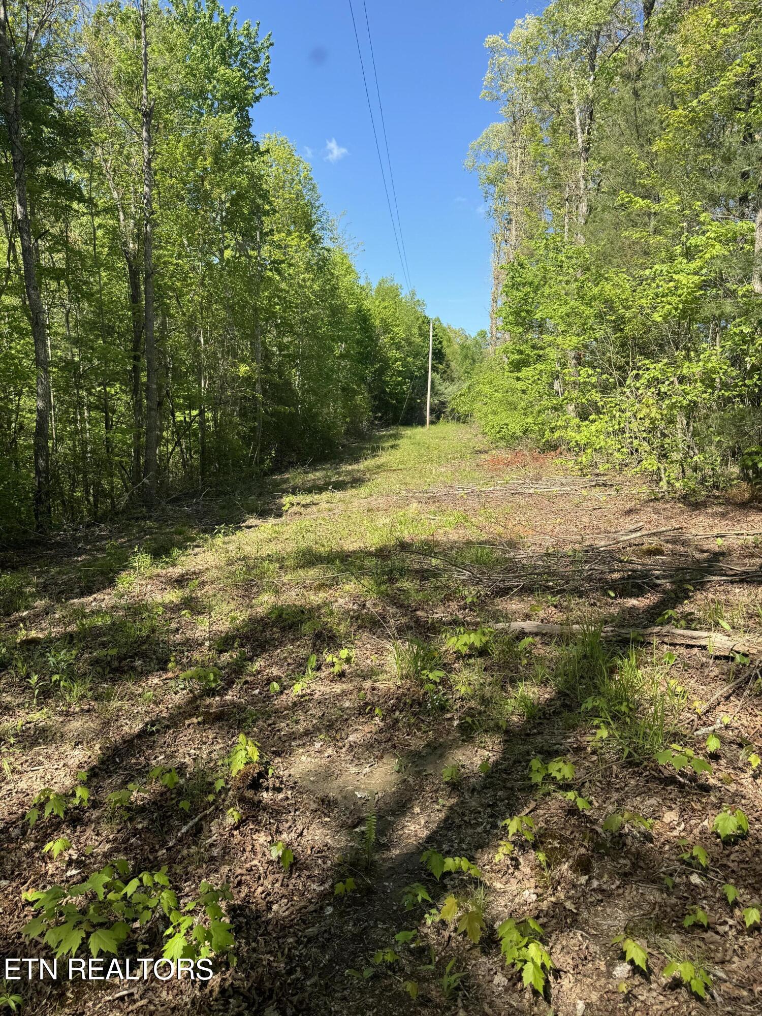 Honey Creek Loop Road Allardt, TN 38504 - Photo 11 of 26 IMG_0917