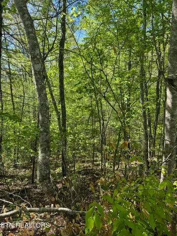 $199,000 | Honey Creek Loop Road, Allardt, TN 38504