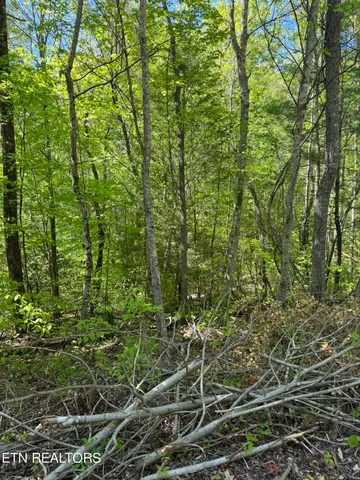 $199,000 | Honey Creek Loop Road, Allardt, TN 38504