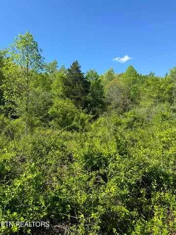 $199,000 | Honey Creek Loop Road, Allardt, TN 38504