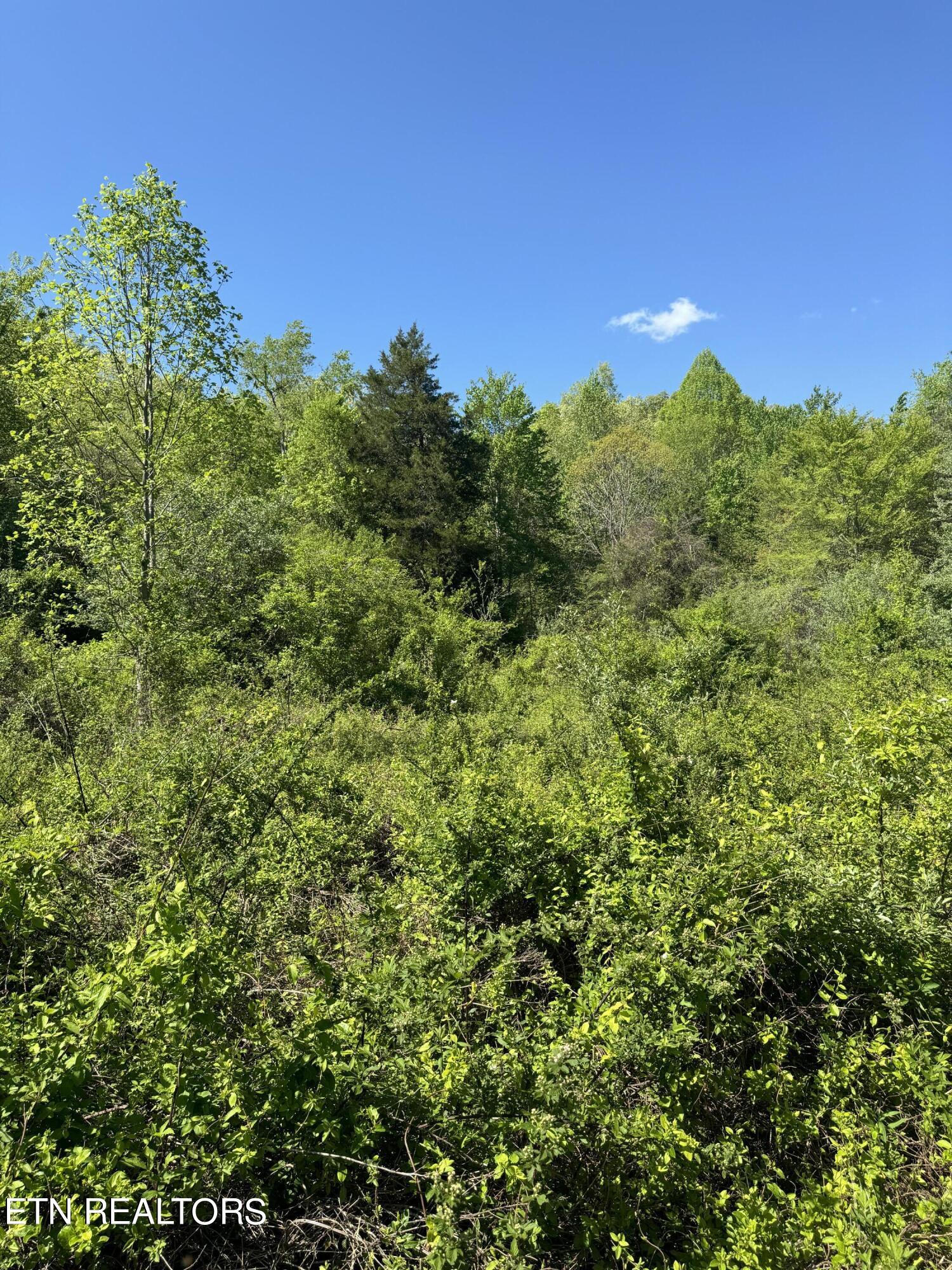 Honey Creek Loop Road Allardt, TN 38504 - Photo 15 of 26 IMG_0921