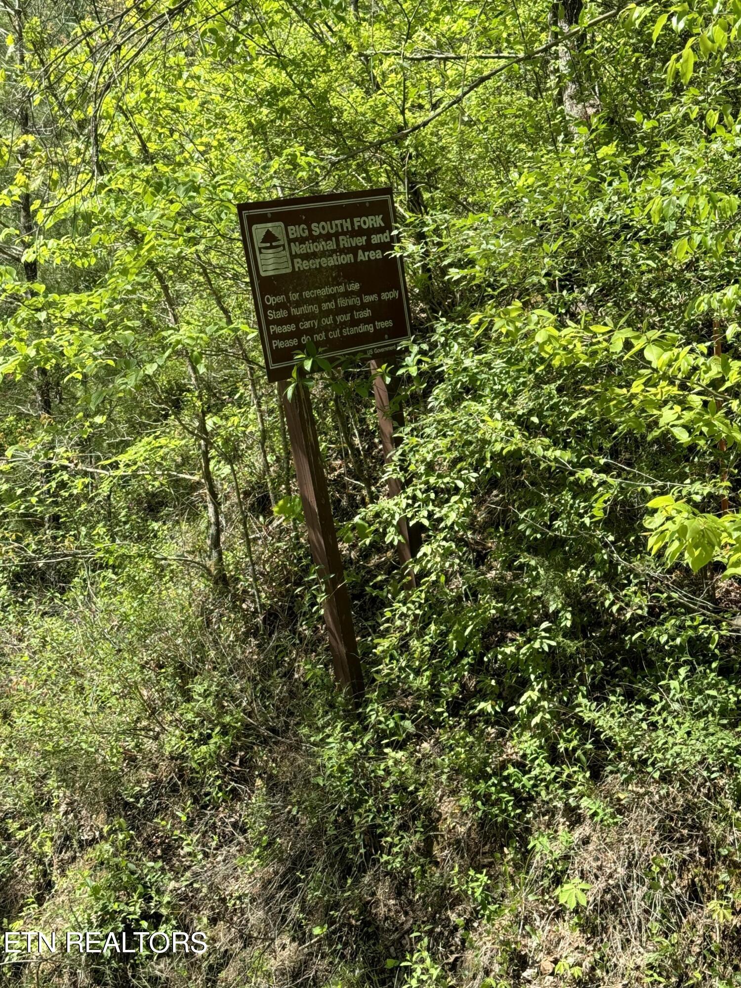 Honey Creek Loop Road Allardt, TN 38504 - Photo 16 of 26 IMG_0904