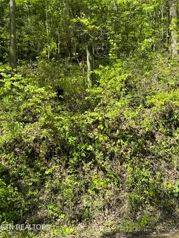 $199,000 | Honey Creek Loop Road, Allardt, TN 38504