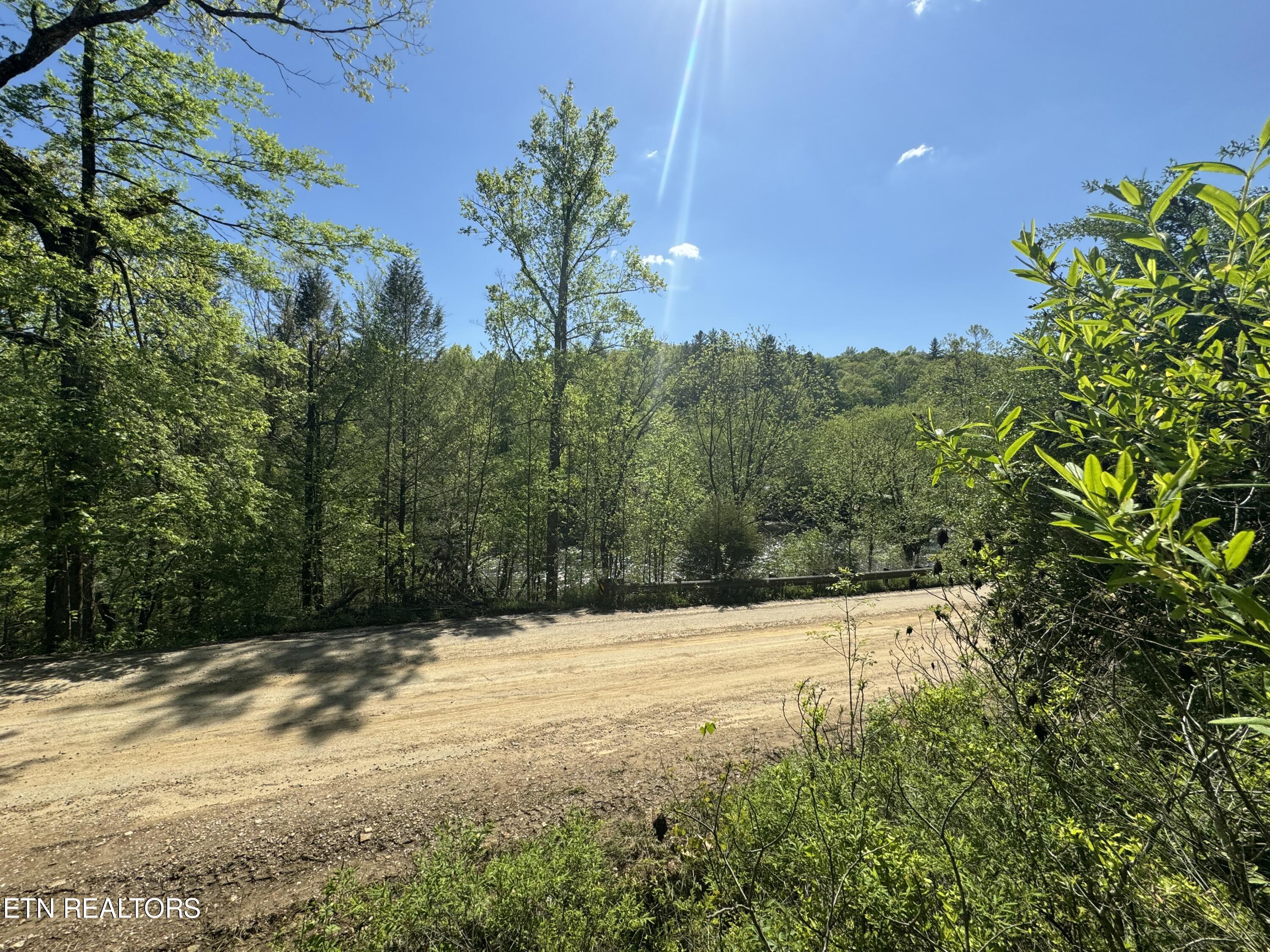 Honey Creek Loop Road Allardt, TN 38504 - Photo 18 of 26 IMG_0922