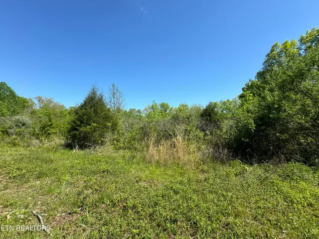 $199,000 | Honey Creek Loop Road, Allardt, TN 38504