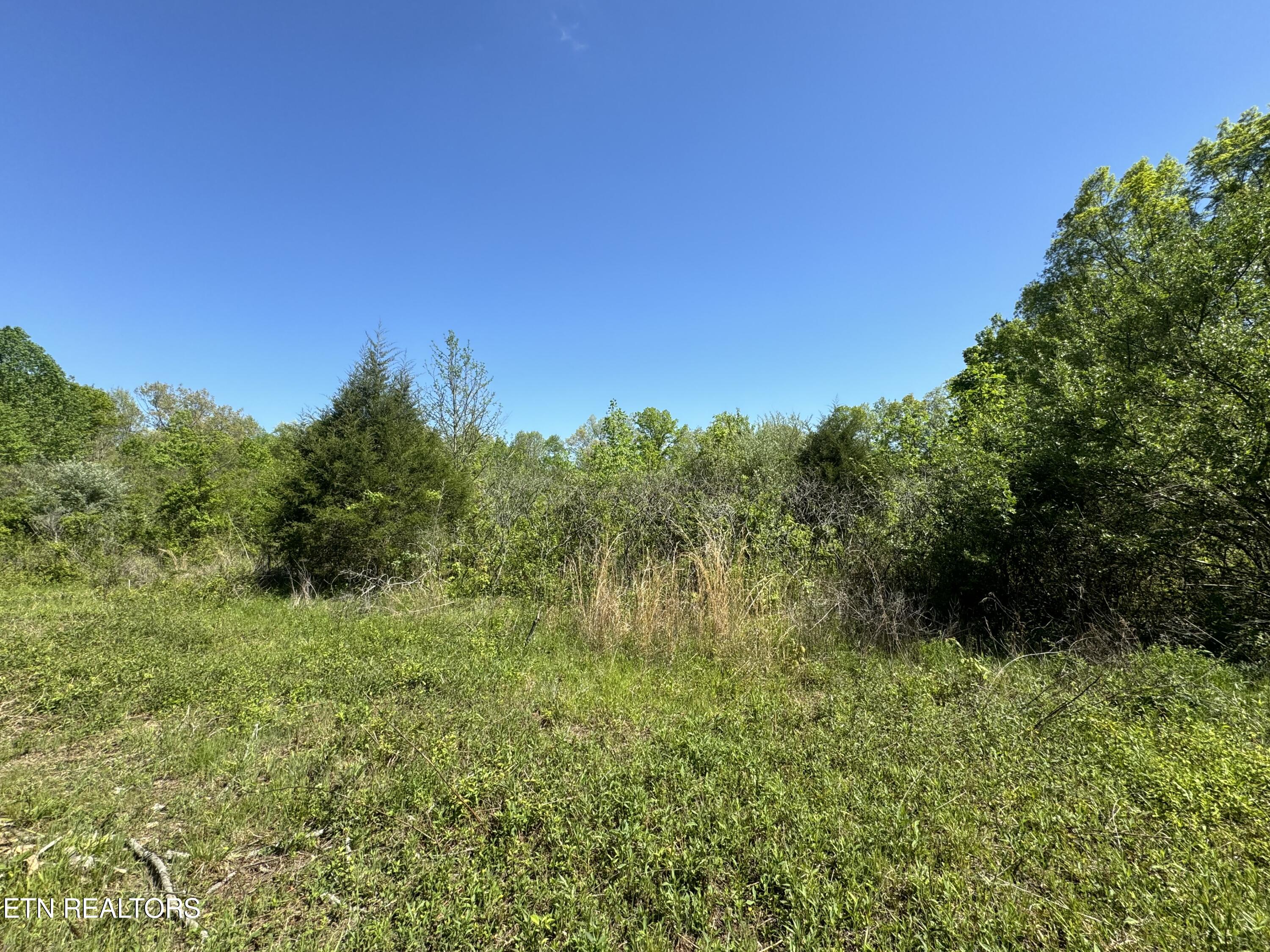 Honey Creek Loop Road Allardt, TN 38504 - Photo 3 of 26 IMG_0908