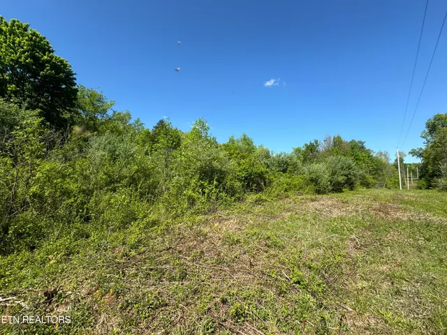 $199,000 | Honey Creek Loop Road, Allardt, TN 38504