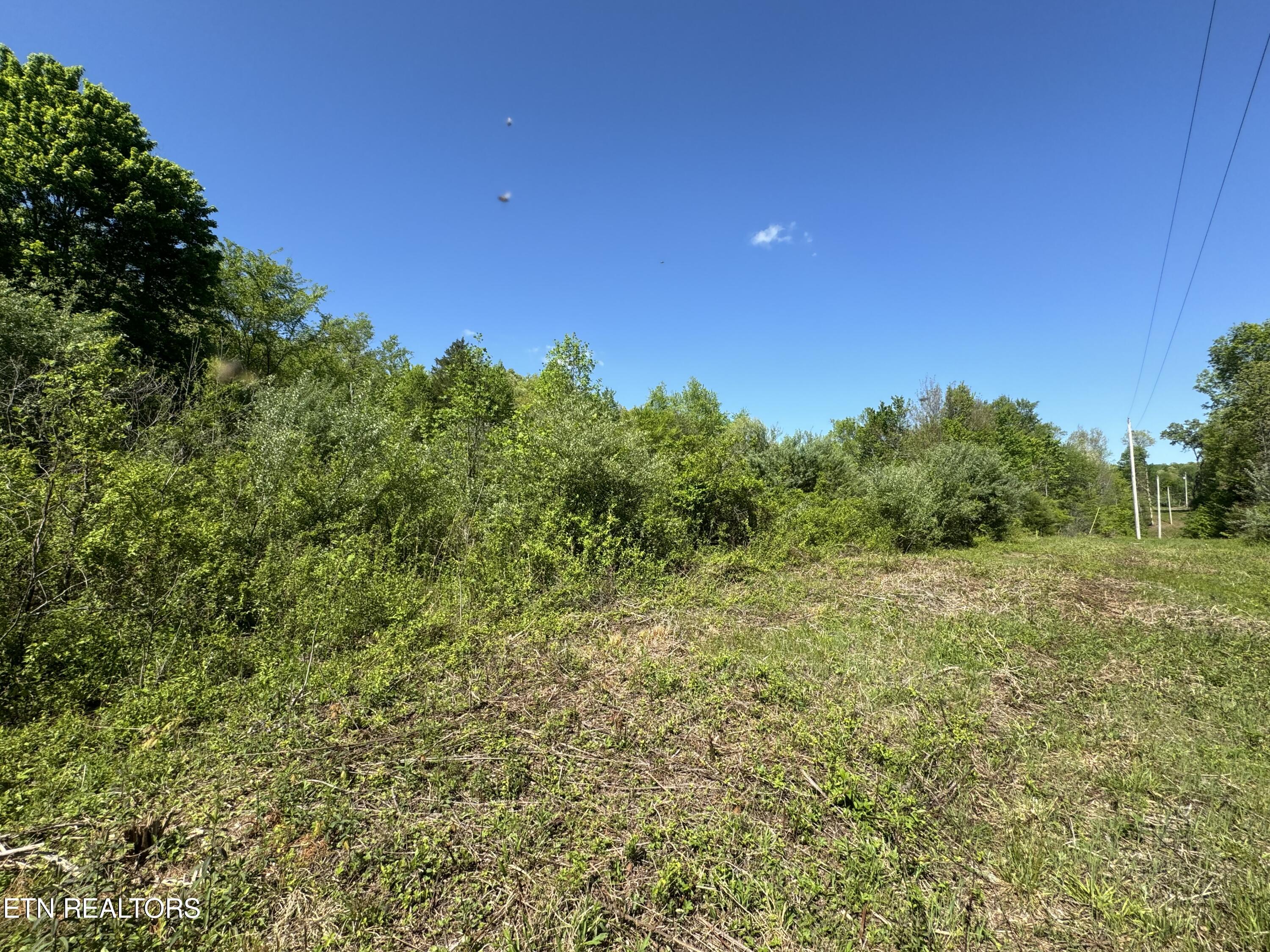 Honey Creek Loop Road Allardt, TN 38504 - Photo 4 of 26 IMG_0909