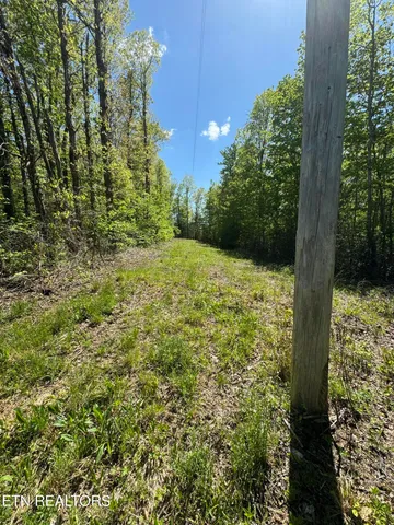 $199,000 | Honey Creek Loop Road, Allardt, TN 38504