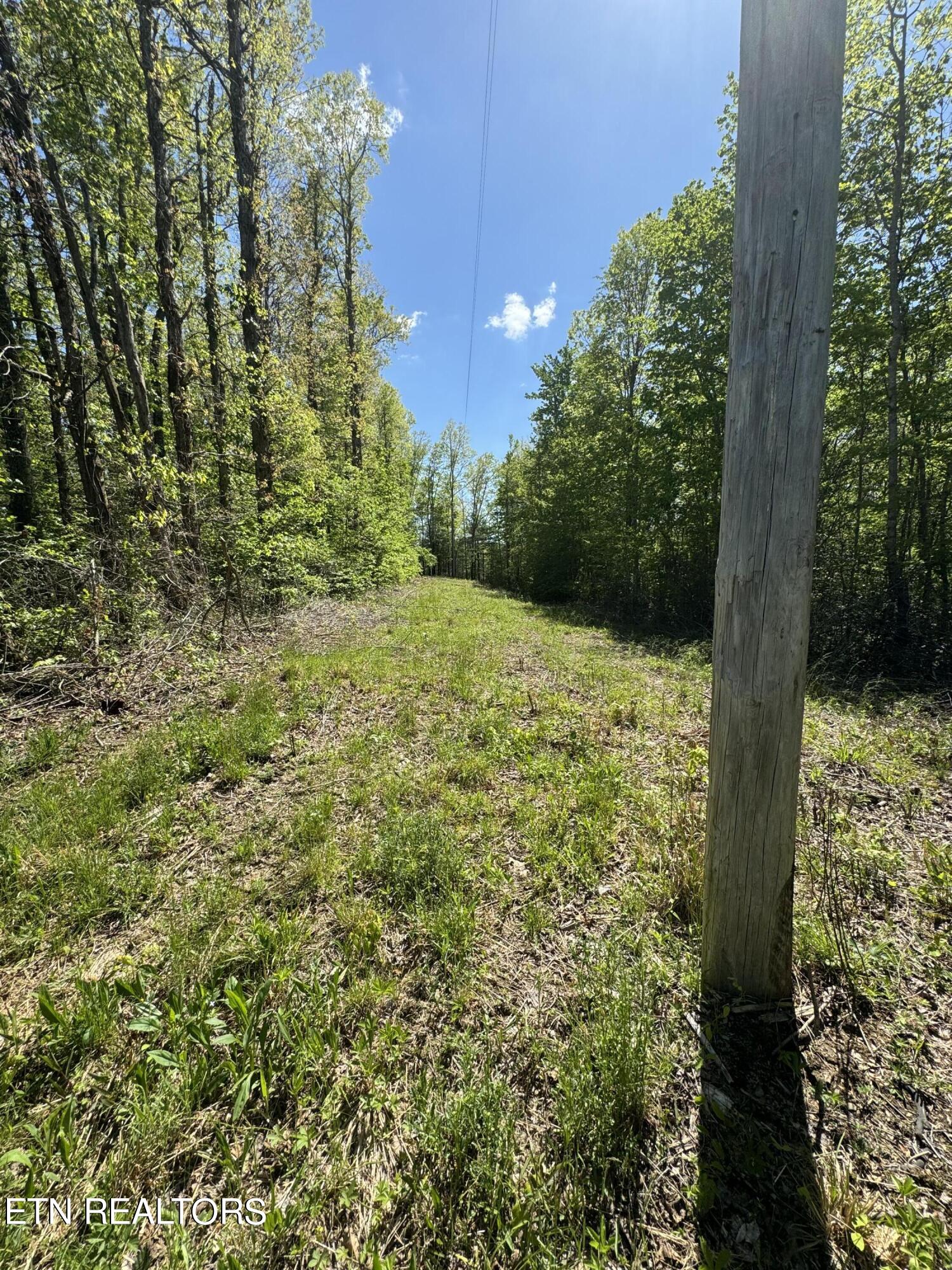 Honey Creek Loop Road Allardt, TN 38504 - Photo 5 of 26 IMG_0910