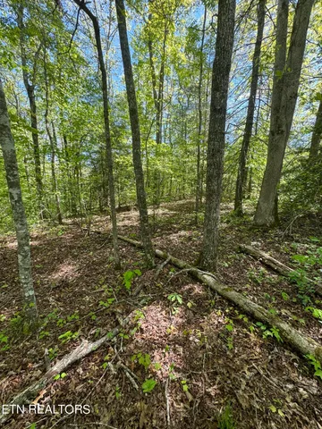 $199,000 | Honey Creek Loop Road, Allardt, TN 38504