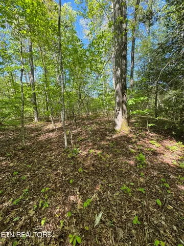 $199,000 | Honey Creek Loop Road, Allardt, TN 38504