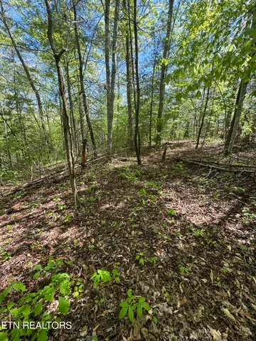 $199,000 | Honey Creek Loop Road, Allardt, TN 38504