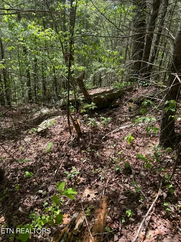 $199,000 | Honey Creek Loop Road, Allardt, TN 38504