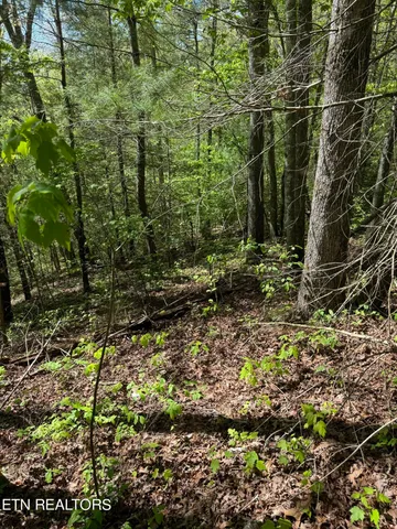 $199,000 | Honey Creek Loop Road, Allardt, TN 38504