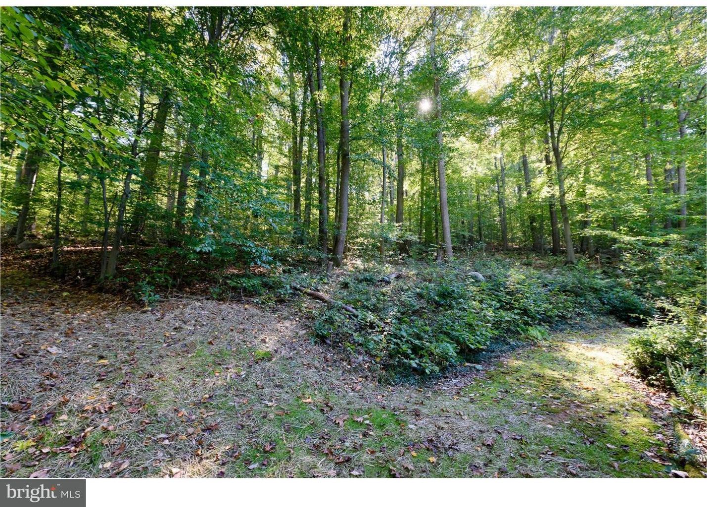 1780 Sawmill Road Spring City, PA 19475 - Photo 23 of 24 View in Back
