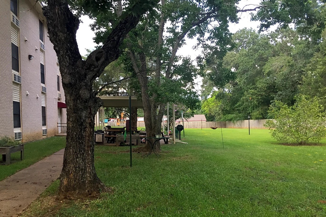 122 Kickapoo Street Palestine, TX 75803 - Photo 6 of 6 a huge green field with lots of trees