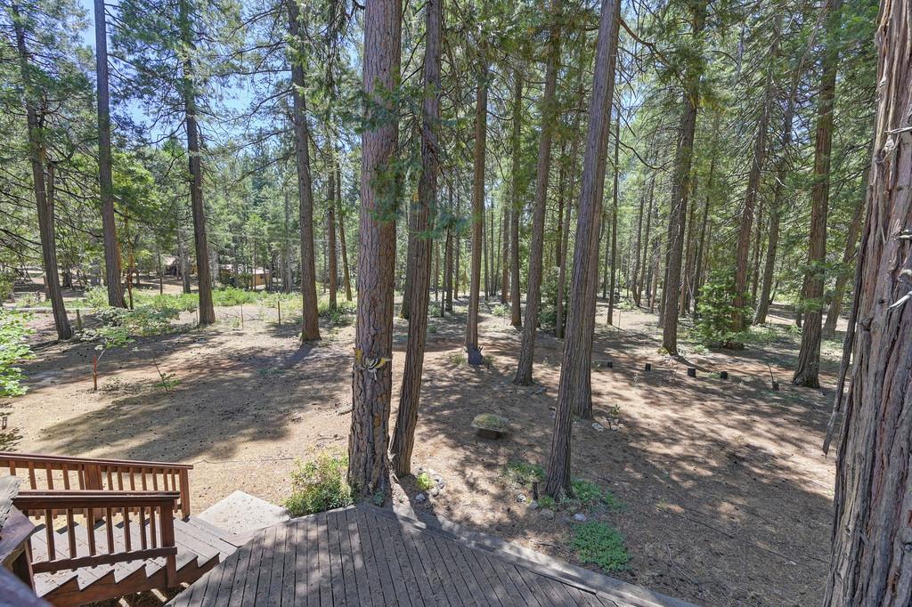 1861 Rubicon Road Georgetown, CA 95634 - Photo 44 of 68