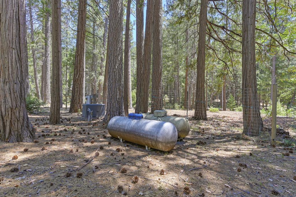 1861 Rubicon Road Georgetown, CA 95634 - Photo 57 of 68 a view of a backyard with large trees and wooden fence