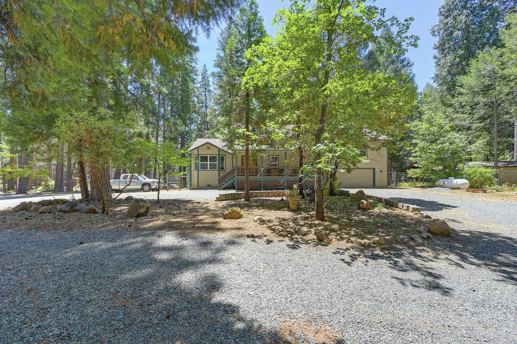 1861 Rubicon Road Georgetown, CA 95634 - Photo 6 of 68 a view of a yard with plants and trees