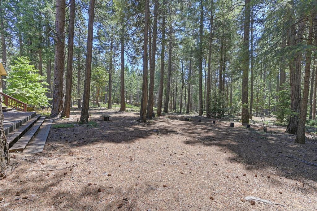 1861 Rubicon Road Georgetown, CA 95634 - Photo 61 of 68 a view of outdoor space with trees