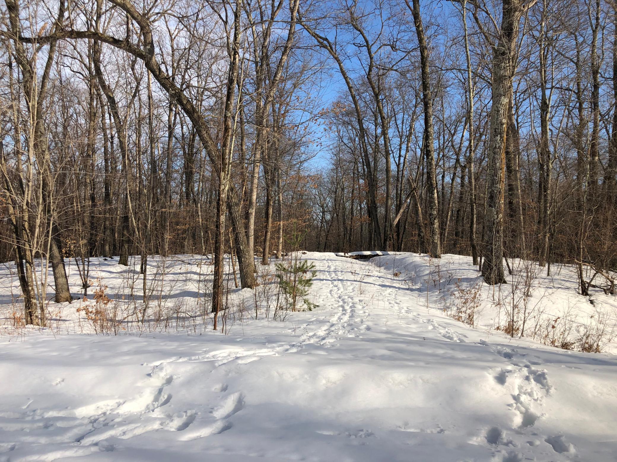 Lot 6 103rd Frederic, WI 54837 - Photo 1 of 1 Gallery Image 1