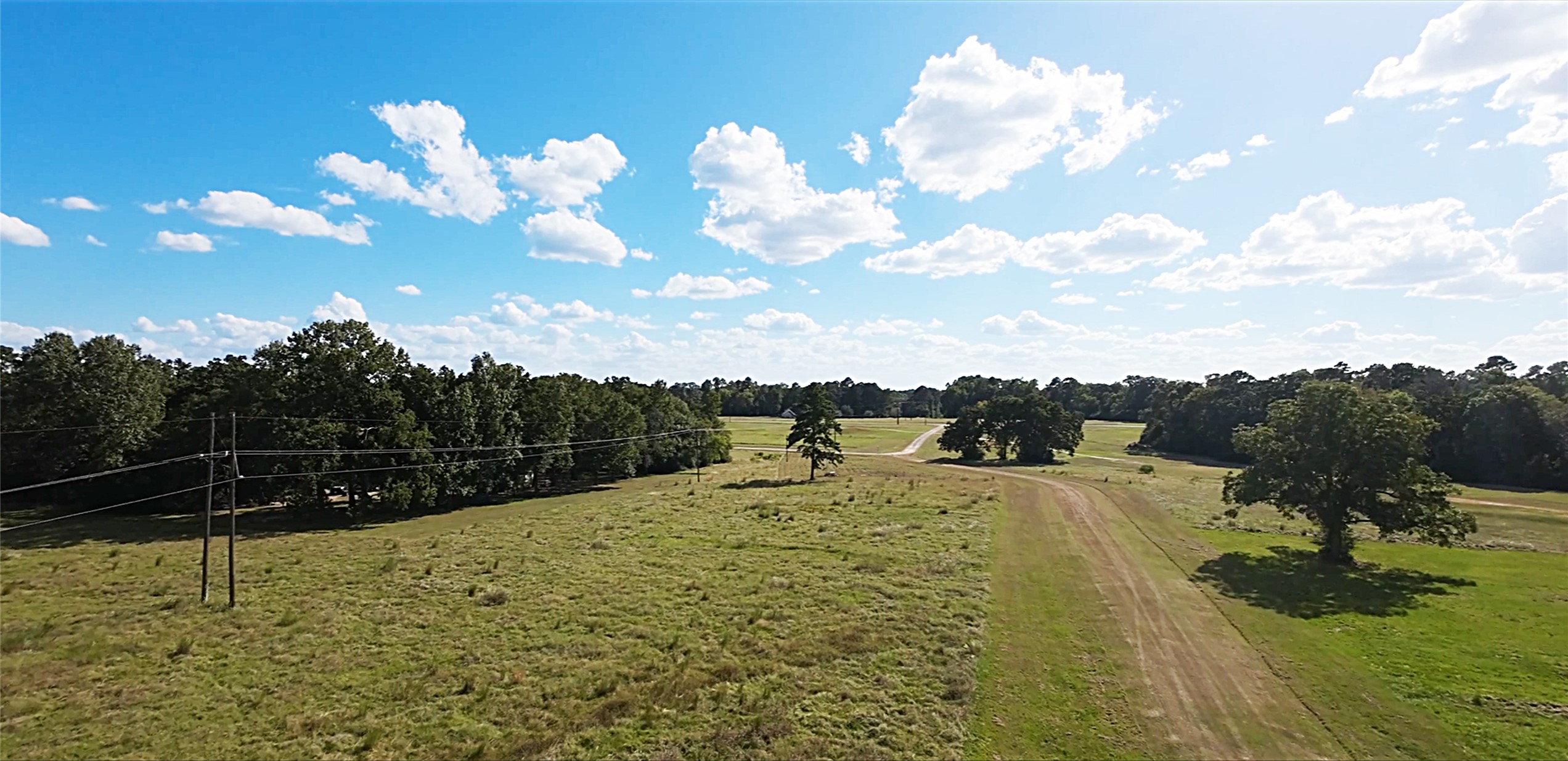 01 Hot Springs Drive Trinity, TX 75862 - Photo 3 of 11