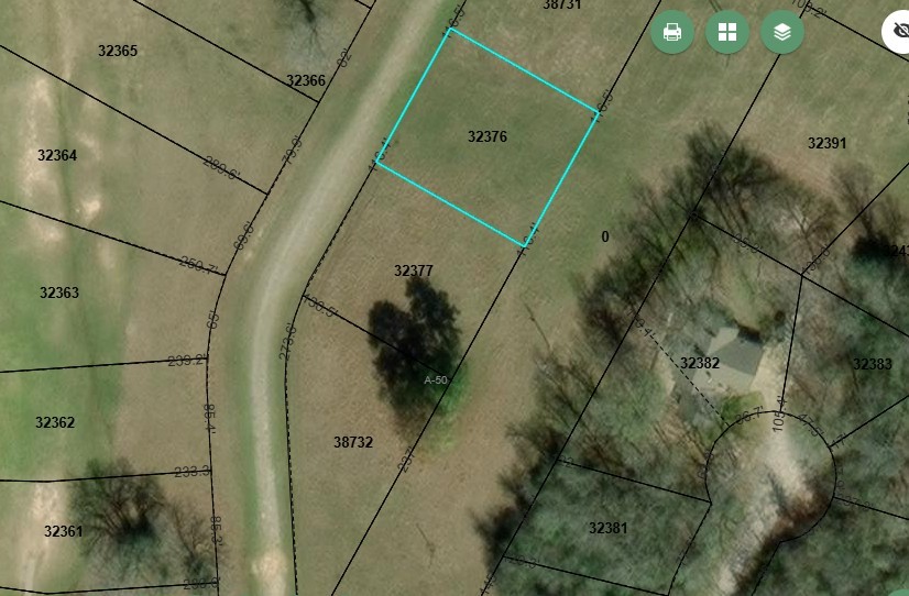 01 Hot Springs Drive Trinity, TX 75862 - Photo 6 of 11