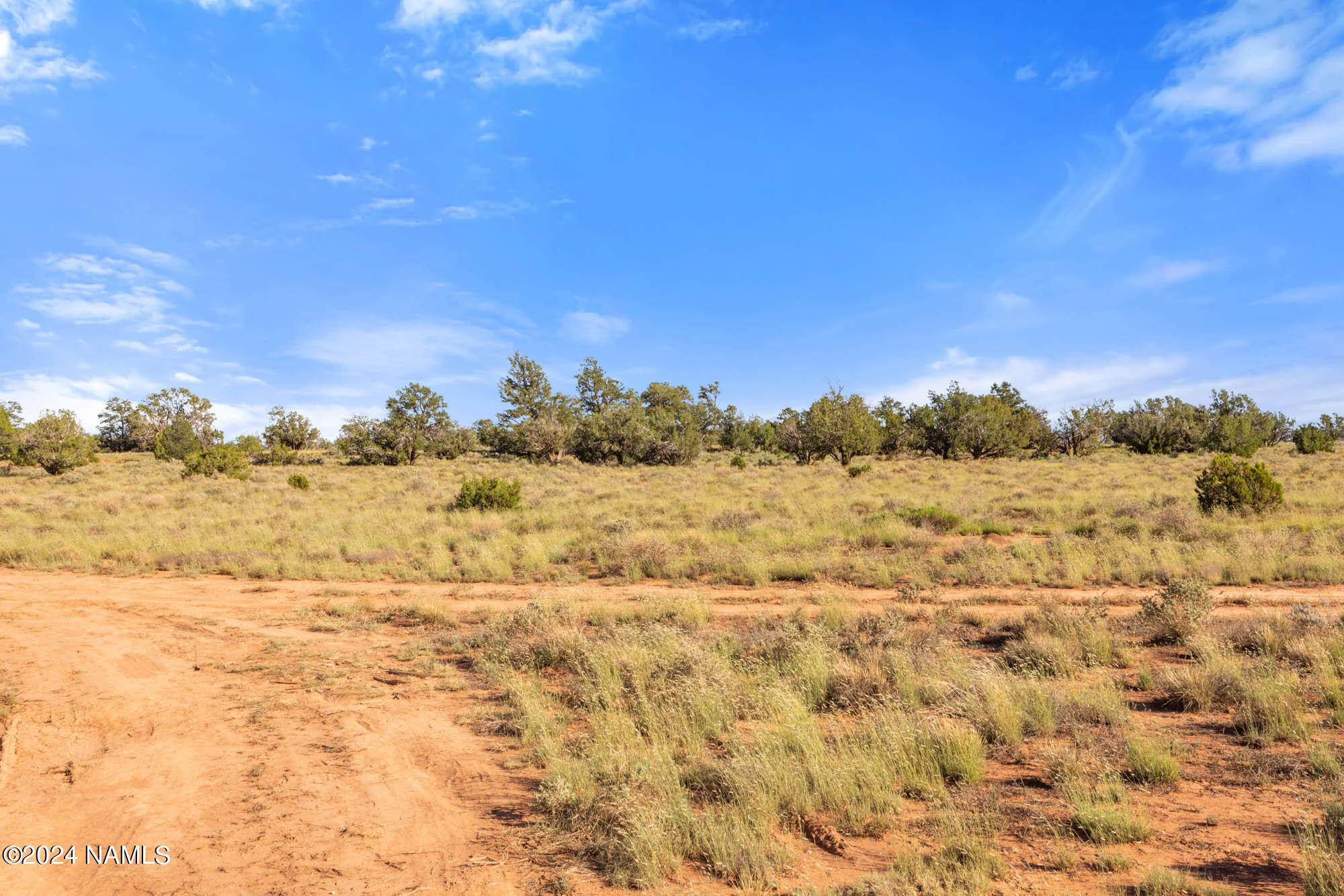 871 North Northland Road, Unit D Williams, AZ 86046 - Photo 6 of 14 a view of a large mountains with lots of trees