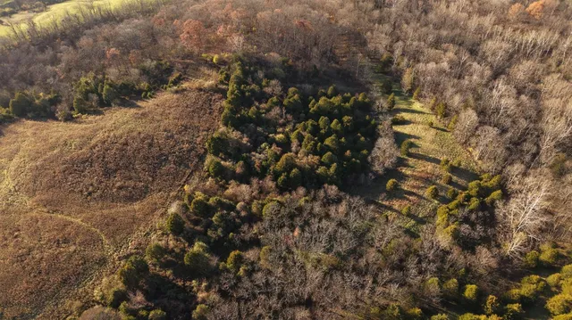 $309,900 | 10817 Bliss Lane, Vevay, IN 47043