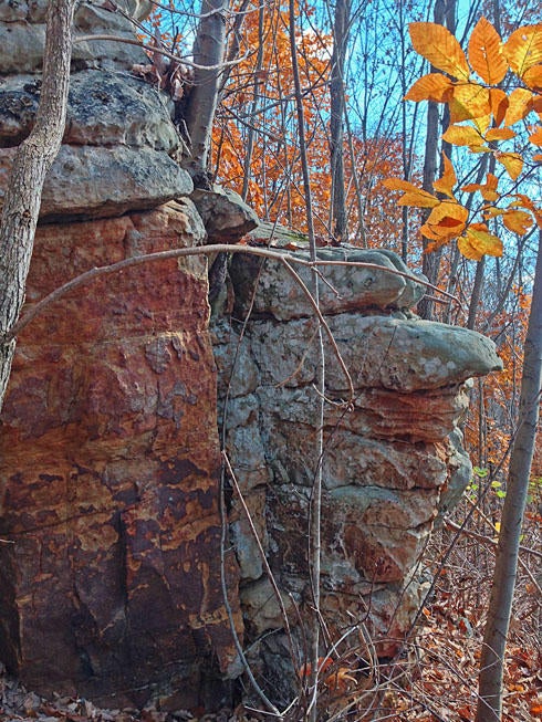 Boyd Road Greenville, WV 24945 - Photo 6 of 14 Gallery Image 6
