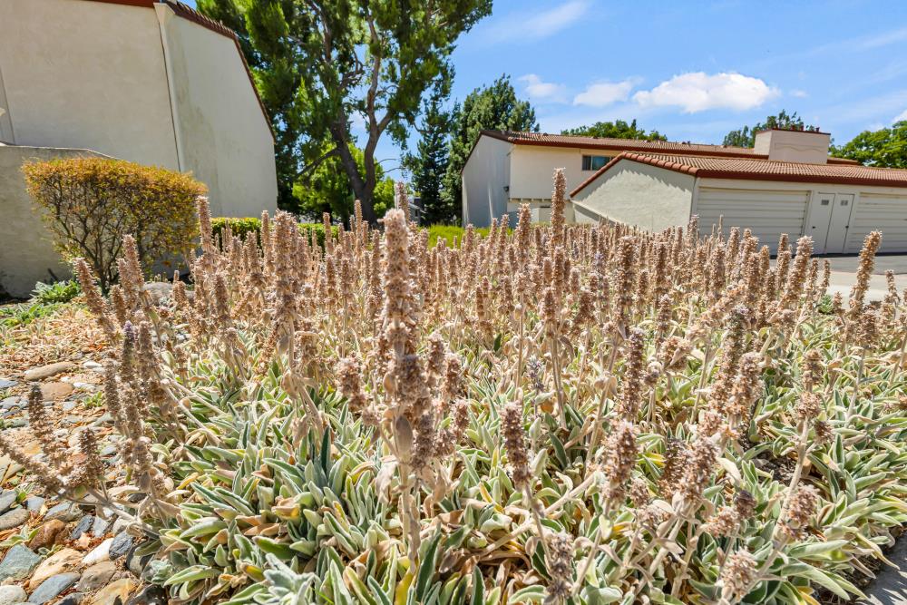 4848 El Cemonte Avenue, Unit 5 Davis, CA 95618 - Photo 27 of 35