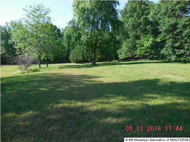 175 Metra Road Coldwater, MS 38618 - Photo 1 of 10 Primary Photo