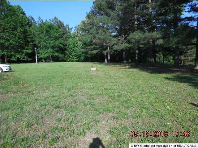 175 Metra Road Coldwater, MS 38618 - Photo 2 of 10 Additional Photo
