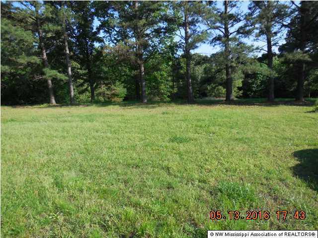 175 Metra Road Coldwater, MS 38618 - Photo 3 of 10 Additional Photo