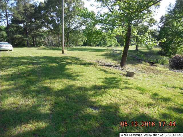 175 Metra Road Coldwater, MS 38618 - Photo 4 of 10 Additional Photo