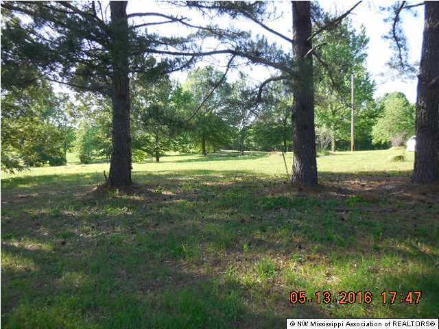 175 Metra Road Coldwater, MS 38618 - Photo 9 of 10 Additional Photo