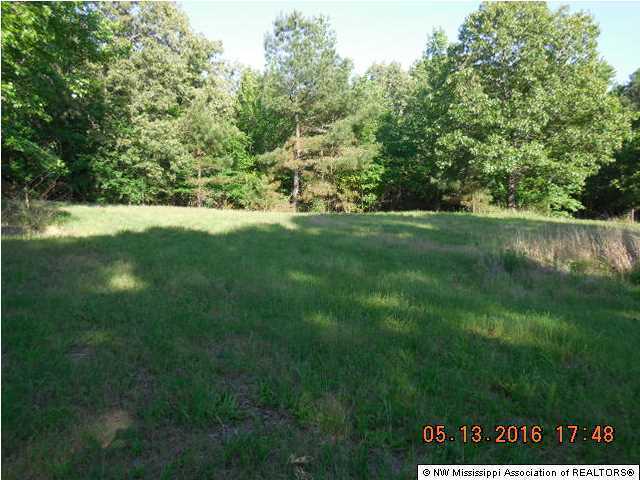 175 Metra Road Coldwater, MS 38618 - Photo 10 of 10 Additional Photo