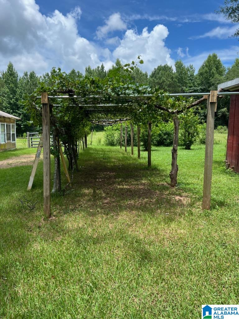 4432 County Road 11 Repton, AL 36475 - Photo 8 of 15