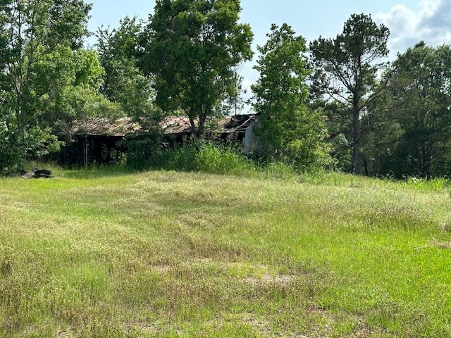 2 Perry Road Natchez, MS 39120 - Photo 4 of 32 Photo 4