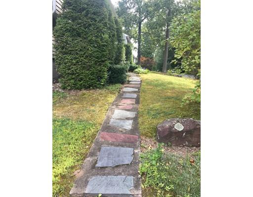 44 Colorado Street Springfield, MA 01118 - Photo 12 of 12 a view of a yard with plants