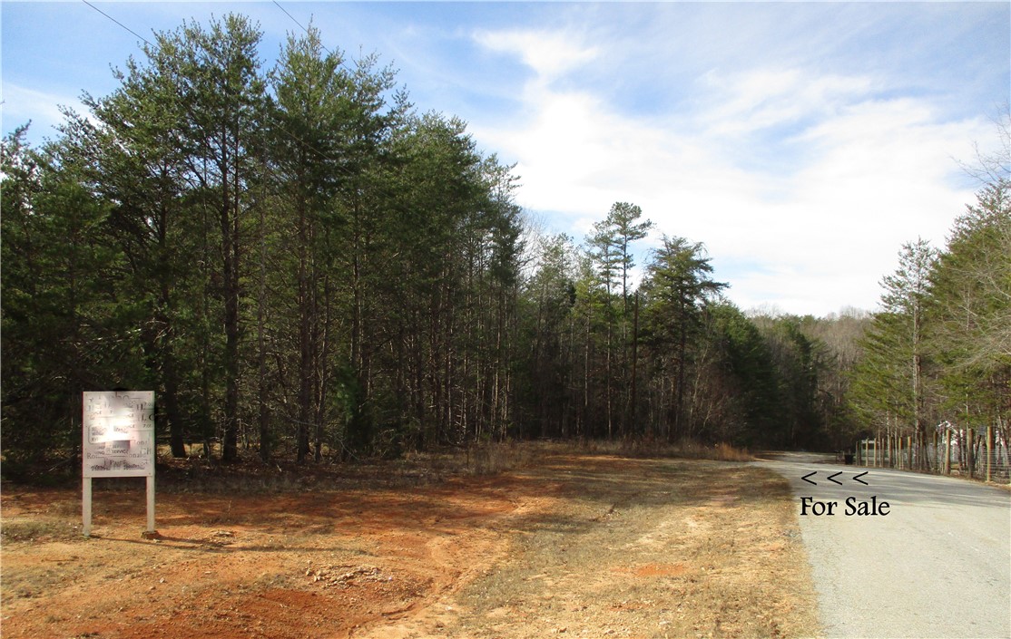 0 Mt Nebo Church Road Honea Path, SC 29654 - Photo 1 of 7 Gallery Image 1