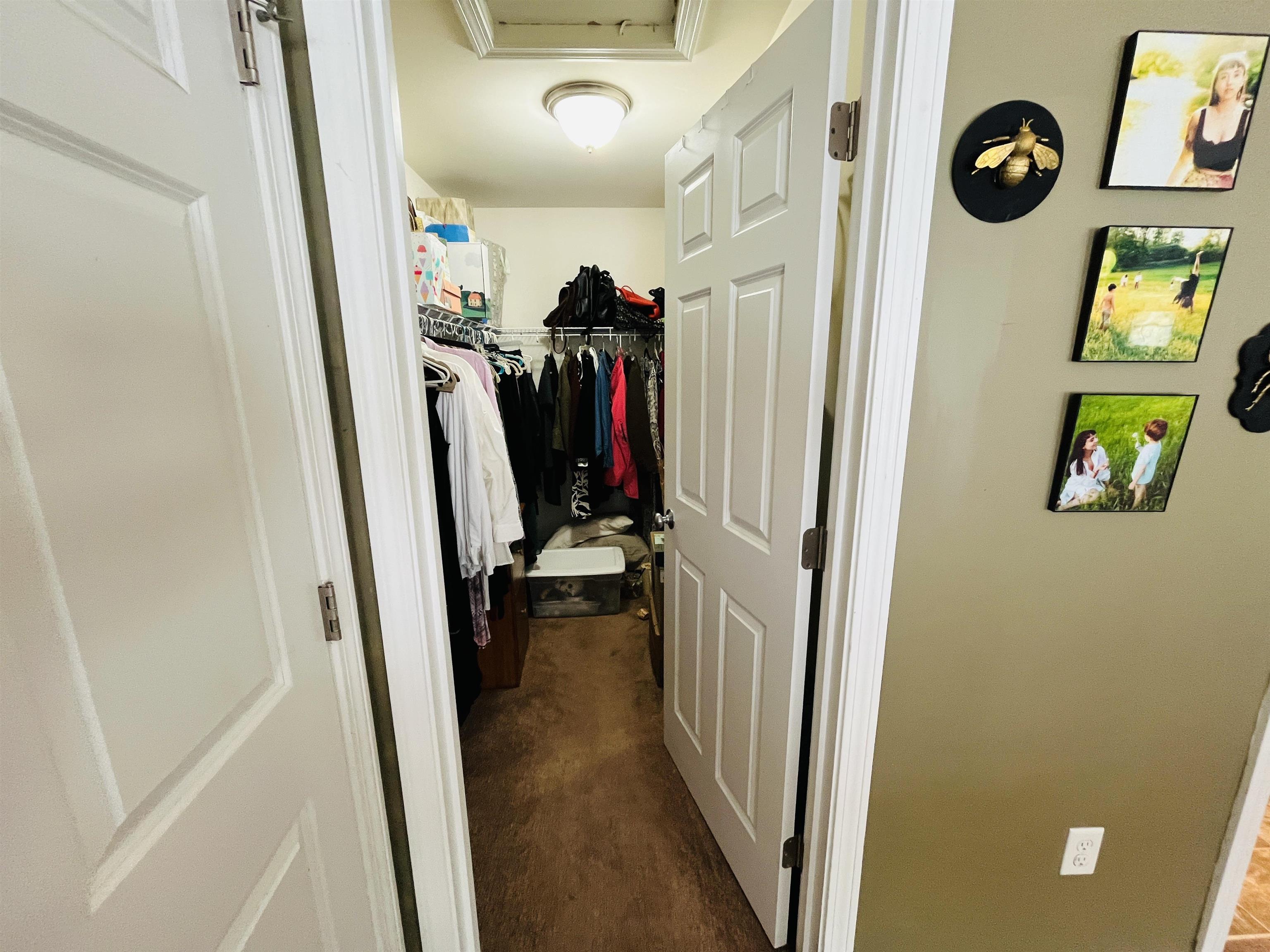 339 Ranney Road Stockbridge, VT 05772 - Photo 24 of 44