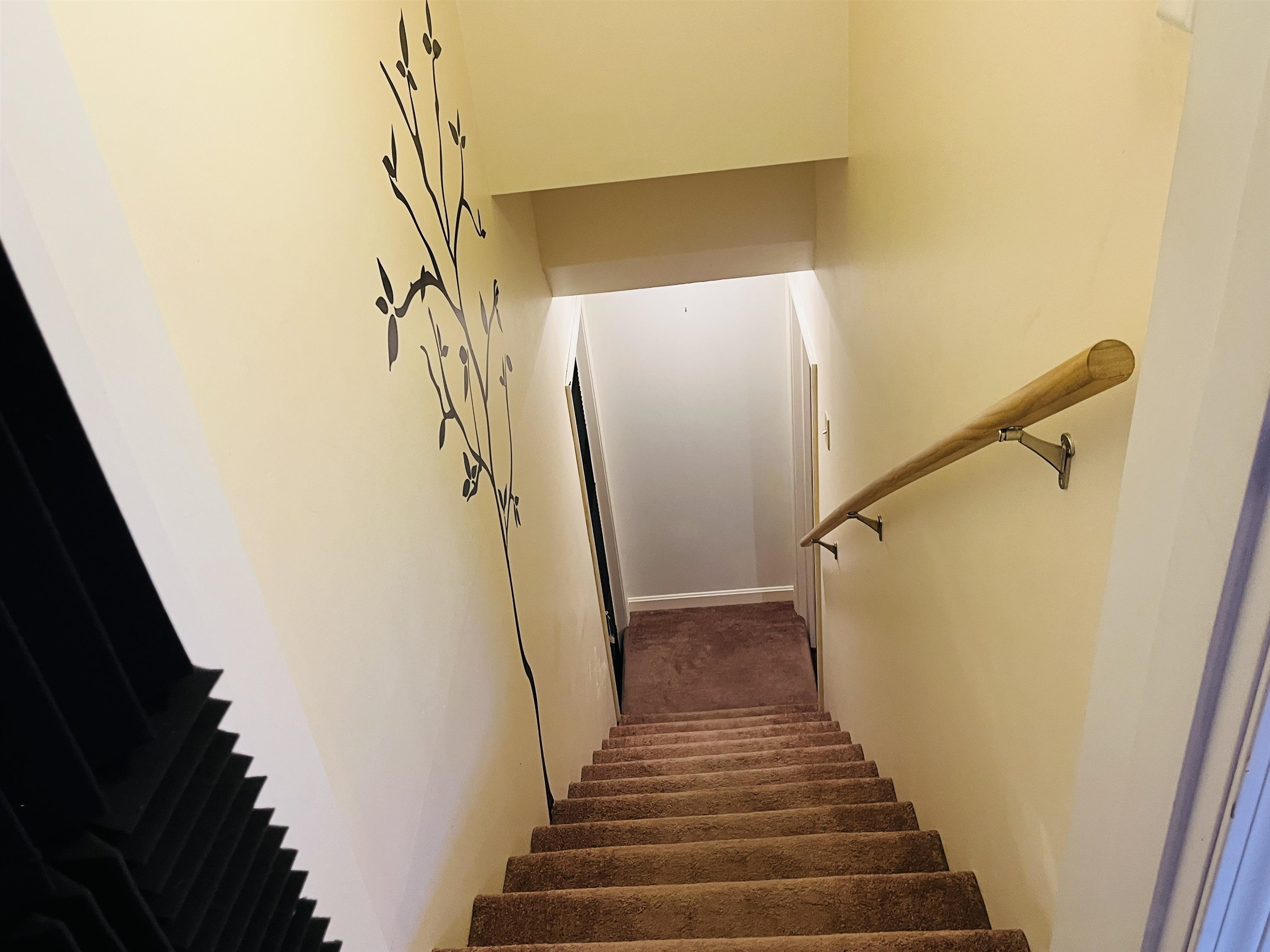 339 Ranney Road Stockbridge, VT 05772 - Photo 25 of 44