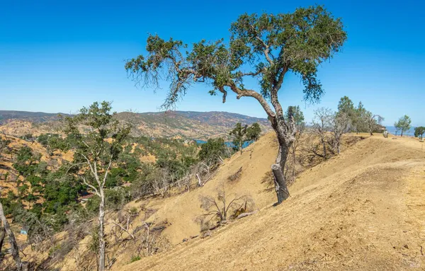 $32,500 | 1099 Westridge Drive, Napa, CA 94558