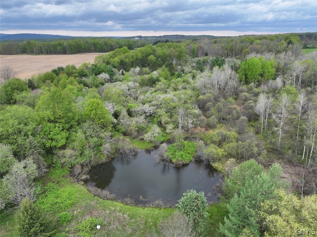 Youngs Road Conewango Valley, NY 14726 - Photo 7 of 32 Gallery Image 7
