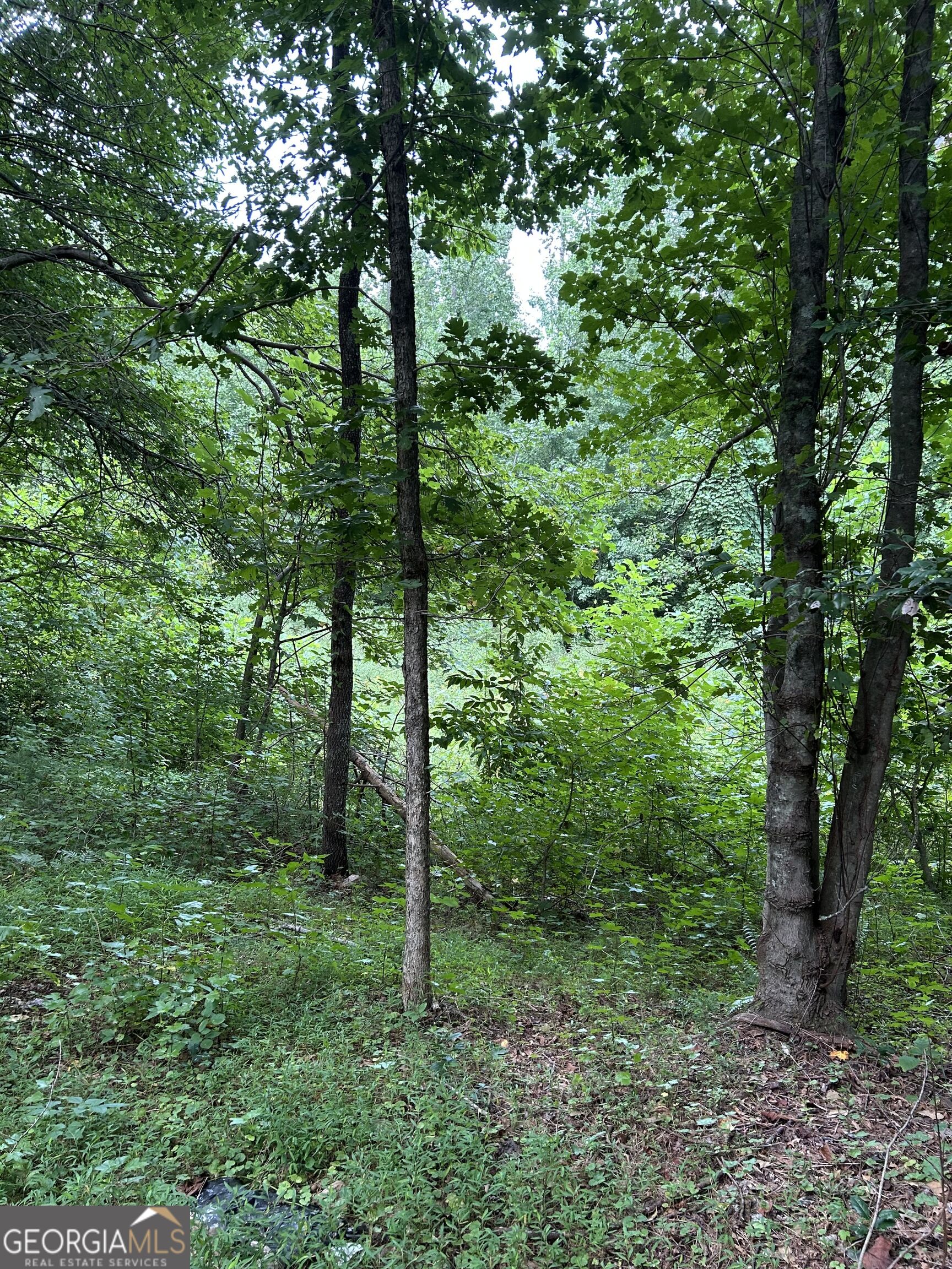 505 Hank Fry Road Clarkesville, GA 30523 - Photo 14 of 23 Gallery Image 14